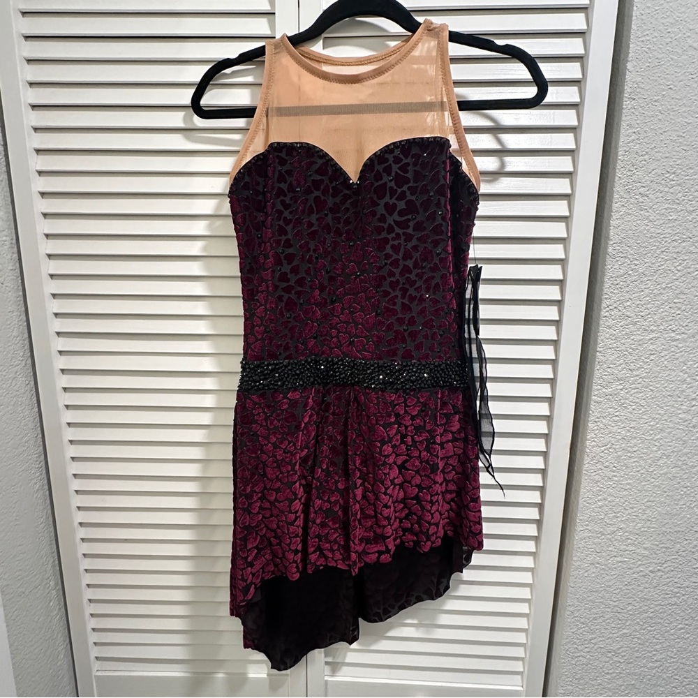 NWT Brad Griffies Sweetheart Skating Dress Adult M